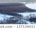 從增田山搭乘特快列車 137134031