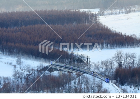 從增田山搭乘特快列車 137134031