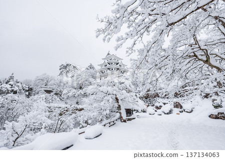 郡上八幡城（冬季） 137134063