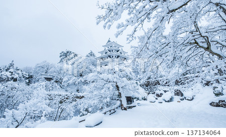 郡上八幡城（冬季） 137134064