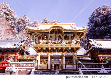 日光市、日光東照宮、雪中的陽明門 日光市、日光東照宮、雪中的陽明門 137134082