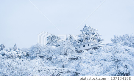 郡上八幡城（冬季） 137134198