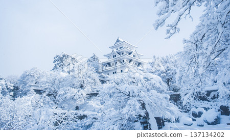 Gujo Hachiman Castle (Winter) 137134202