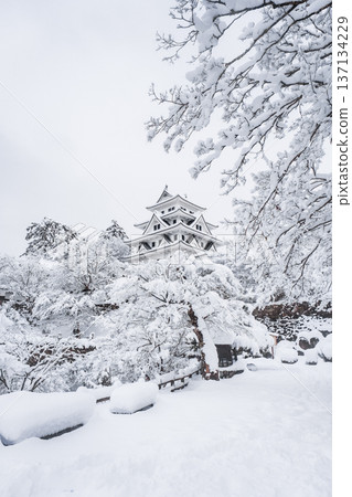 郡上八幡城(冬季) 郡上八幡城(冬季) 137134229