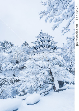 Gujo Hachiman Castle (Winter) 137134230