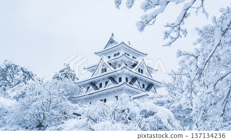Gujo Hachiman Castle (Winter) 137134236