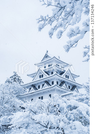 Gujo Hachiman Castle (Winter) 137134246