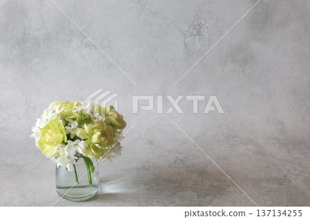 Green carnation arrangement Green carnation arrangement 137134255