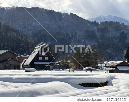 Shirakawa-go with snow 137134315