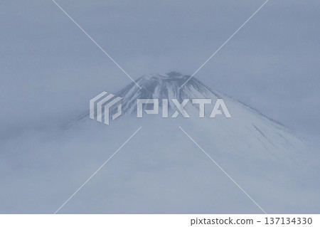 Mount Fuji Mount Fuji 137134330