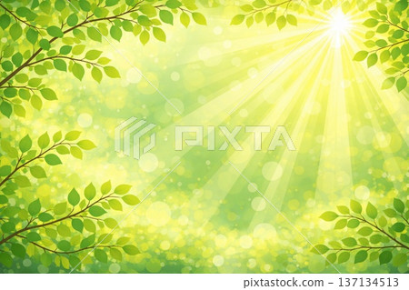 清新的綠色陽光照射生命影像向量圖 清新的綠色陽光照射生命影像向量圖 137134513