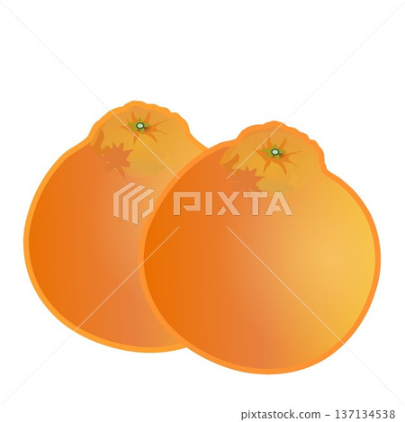 不知火插畫 137134538