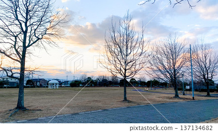 Yoneyama Park with its spacious playground equipment Yoneyama Park with its spacious playground equipment 137134682