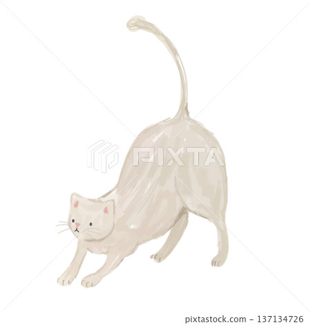 粗糙的白色貓咪伸展身體的向量插圖 137134726
