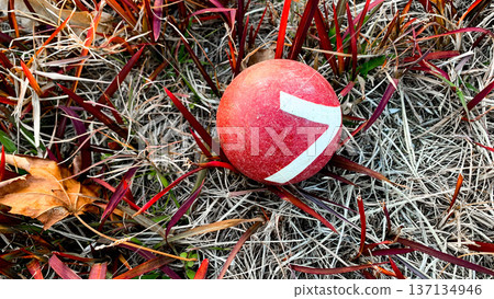 寬敞的門球場 137134946