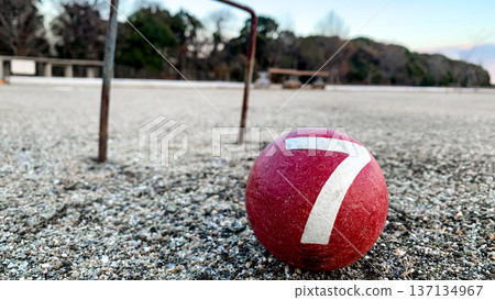 寬敞的門球場 137134967