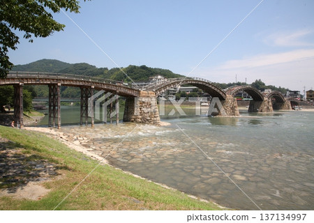 Iwakuni Kintai Bridge [Iwakuni City, Yamaguchi Prefecture] 137134997