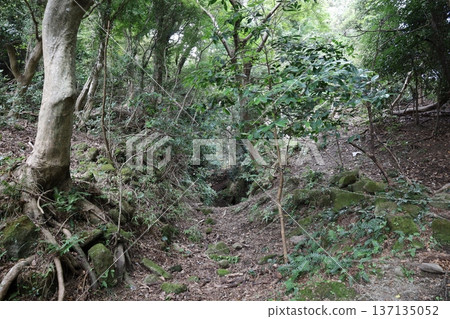 鋸山景色 [千葉縣] 137135052