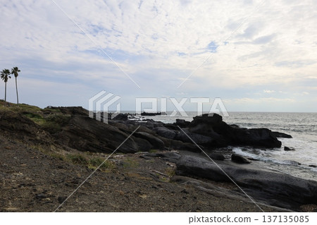 南房總風景(千葉縣白濱町) 南房總風景(千葉縣白濱町) 137135085