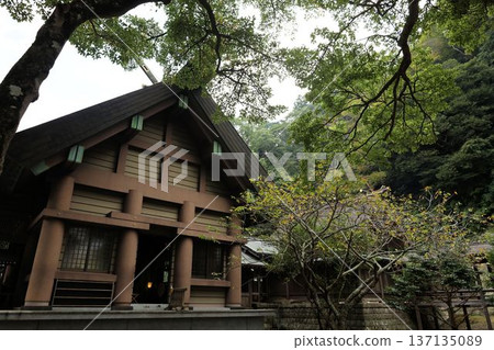Awa Shrine, worship hall from the side [Tateyama City, Chiba Prefecture] 137135089