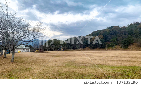 冬日的甘城公園 137135190