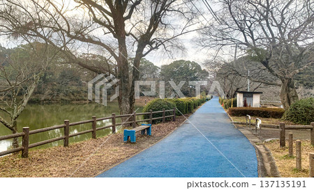 冬日的甘城公園 137135191