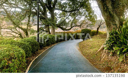 冬日的甘城公園 冬日的甘城公園 137135198