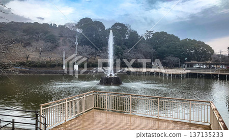 Pond and fountain at Amagi Park Pond and fountain at Amagi Park 137135233