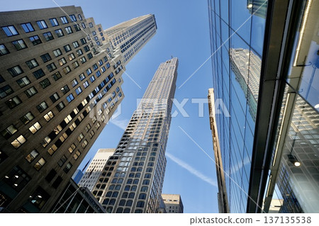 The streets of New York The streets of New York 137135538