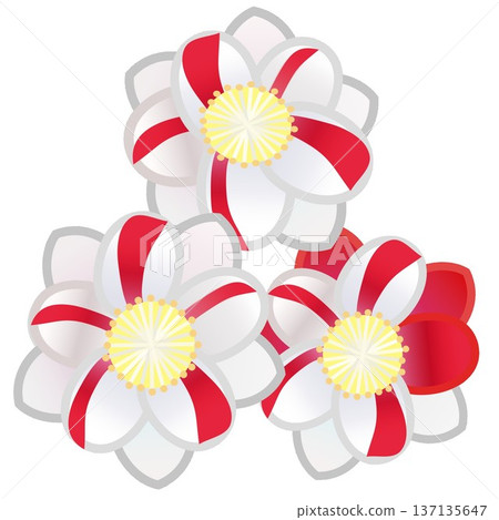 Illustration of peach blossoms Illustration of peach blossoms 137135647