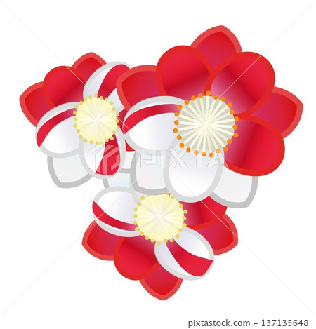 Illustration of peach blossoms Illustration of peach blossoms 137135648