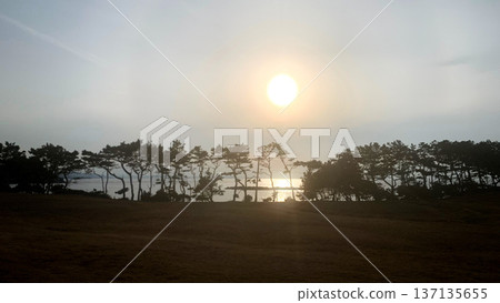 哈多岬海灘的日落 哈多岬海灘的日落 137135655