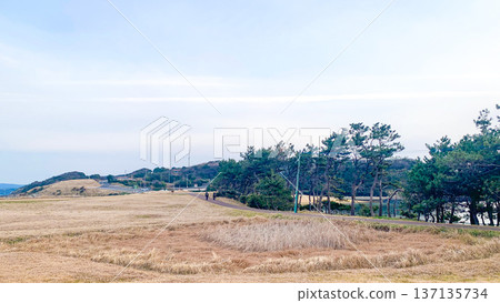 Cape Hado and the expansive blue sky 137135734