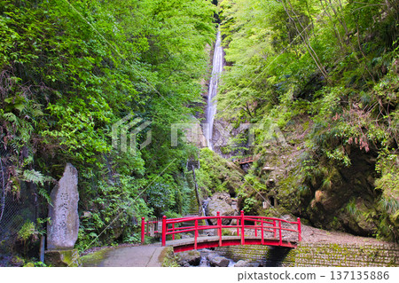 [神奈川縣]淺水瀑布 137135886