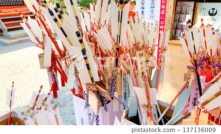 神社周圍佈滿浜屋箭矢的景色 137136009