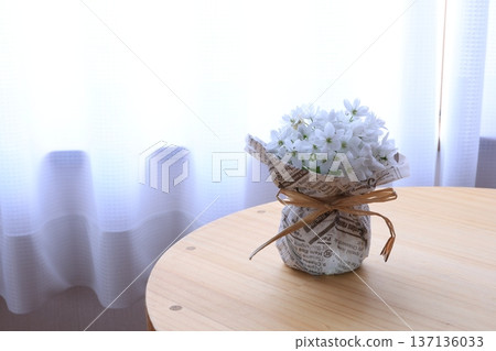 A small arrangement of alliums A small arrangement of alliums 137136033