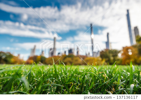 Close up grass in Central Park with blurred Manhattan skyline and autumn colors in New York City USA 137136117