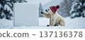 Cute polar bear cub in red winter hat with snow copyspace 137136378