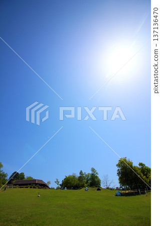 Bright sun, blue sky and green grass Bright sun, blue sky and green grass 137136470