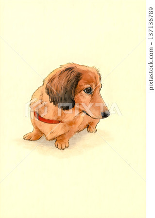 迷你臘腸狗插圖 137136789