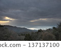三月山林冬日的天空和森林，陰雲密布。 137137100