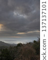 三月山林冬日的天空和森林，陰雲密布。 137137101