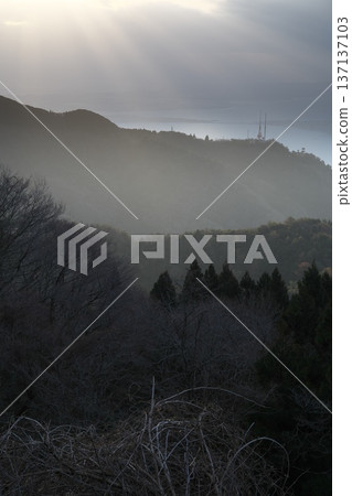 三月山林冬日的天空和森林，陰雲密布。 137137103