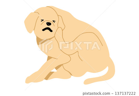 Dog hand-drawn illustration itchy 137137222