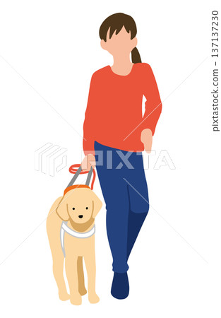 Guide dog hand-drawn illustration walking 137137230