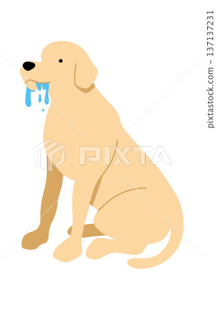 Dog hand-drawn illustration drool Dog hand-drawn illustration drool 137137231