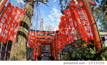 Red torii gate and votive flag at Shimoshinmei Tenso Shrine, Inari Shrine, Tokyo 137137235