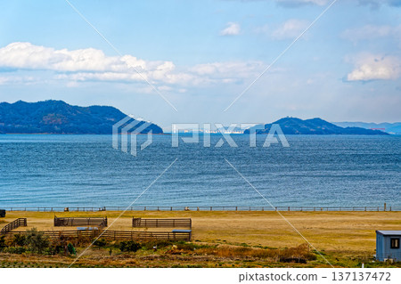 從浦島花卉公園看到的景色 137137472
