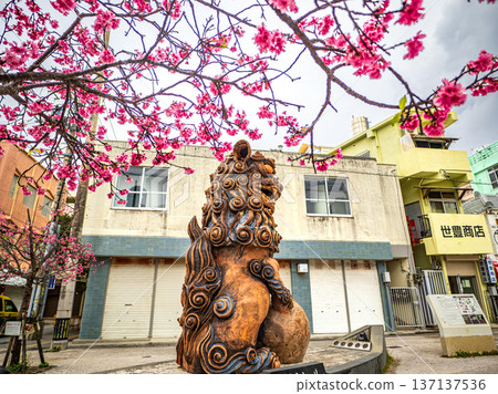 Shisa and double cherry blossoms Shisa and double cherry blossoms 137137536