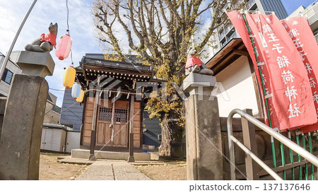 Tokyo. Winter scenery at Takioji Inari Shrine, a quiet shrine in the downtown area Tokyo. Winter scenery at Takioji Inari Shrine, a quiet shrine in the downtown area 137137646